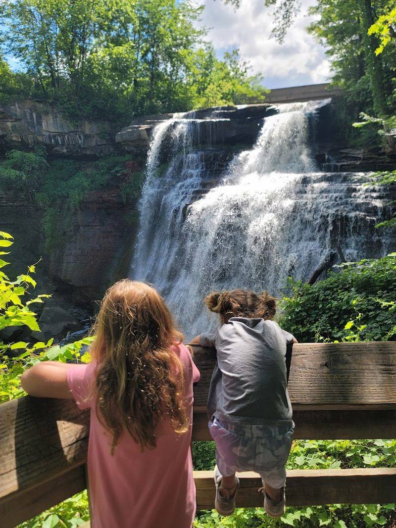 Brandywine Falls