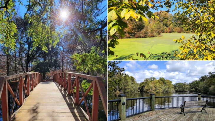 We Spent a Day Exploring 11 South Carolina Riverwalks and Never Wanted It to End
