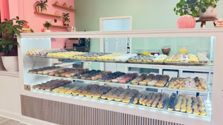 We Stopped At 12 South Carolina Donut Shops And Couldn&rsquo;t Leave Empty-Handed