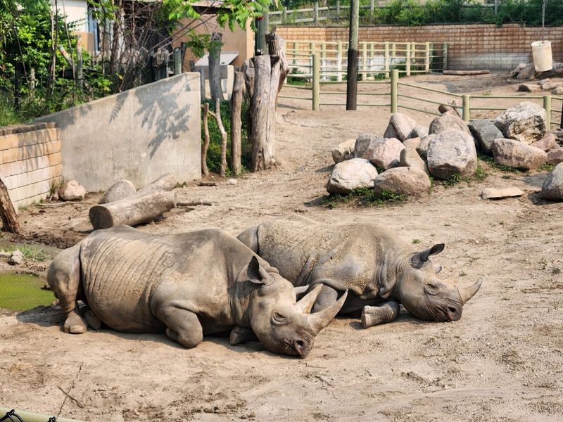 Blank Park Zoo - Des Moines, Polk County