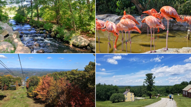 We Took These 10 Massachusetts Day Trips Without Spending A Fortune