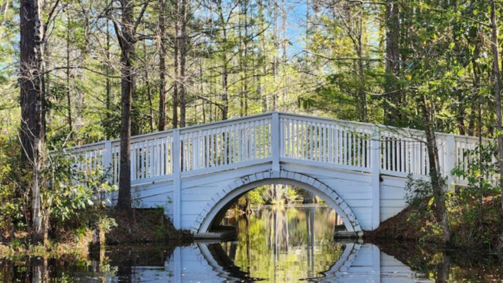 We Tried 11 Affordable Date Ideas In South Carolina And Loved Every One