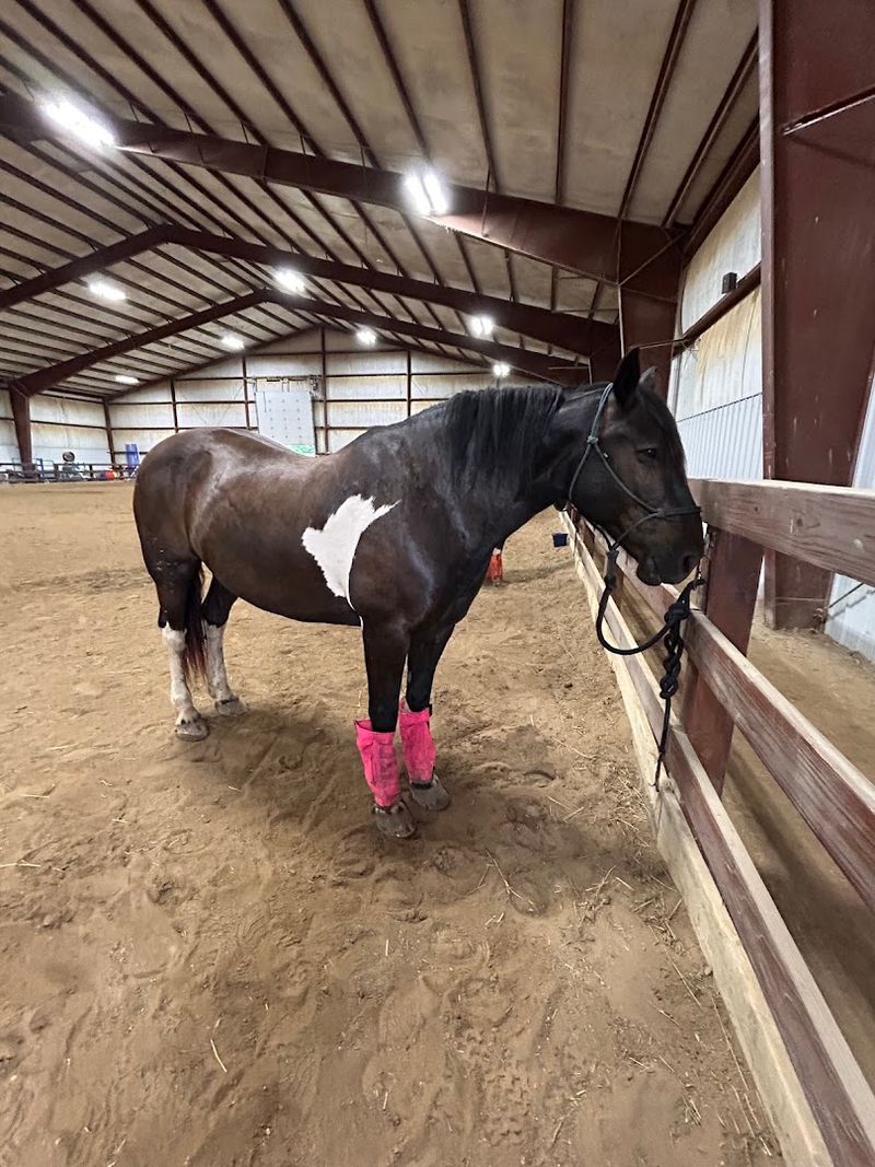 Jester Park Equestrian Center - Granger, Iowa