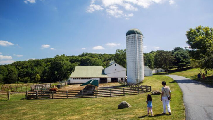We Turned An Ordinary Weekend Into Something Special With These 10 Affordable Ohio Day Trips