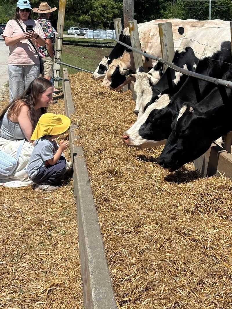 Happy Cow Creamery