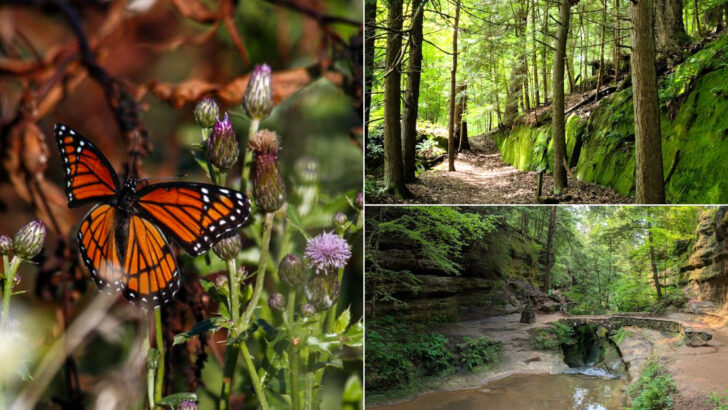 We Visited Ohio Wildlife Parks And These 10 Were The Ones We Couldn’t Stop Talking About