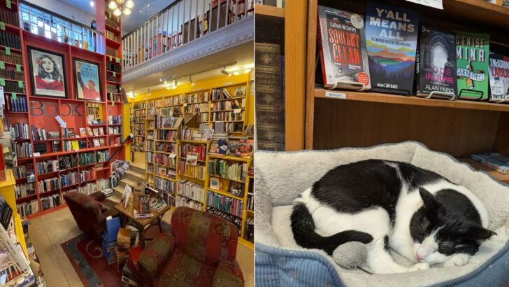 We Walked Into These 11 Virginia Bookstores And Didn’t Want To Leave
