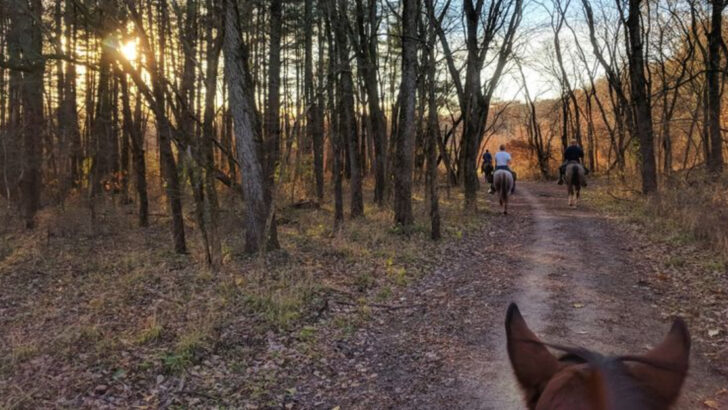 We Were Surprised To Find These 10 Charming Horse Villages Across Iowa