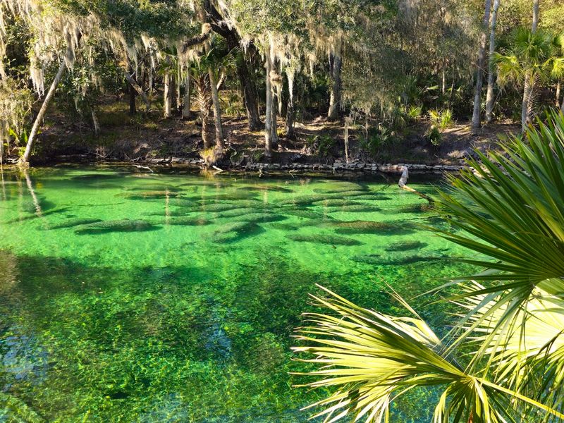 Blue Spring State Park