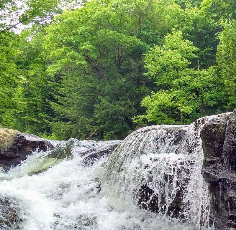 Ohiopyle, Fayette County