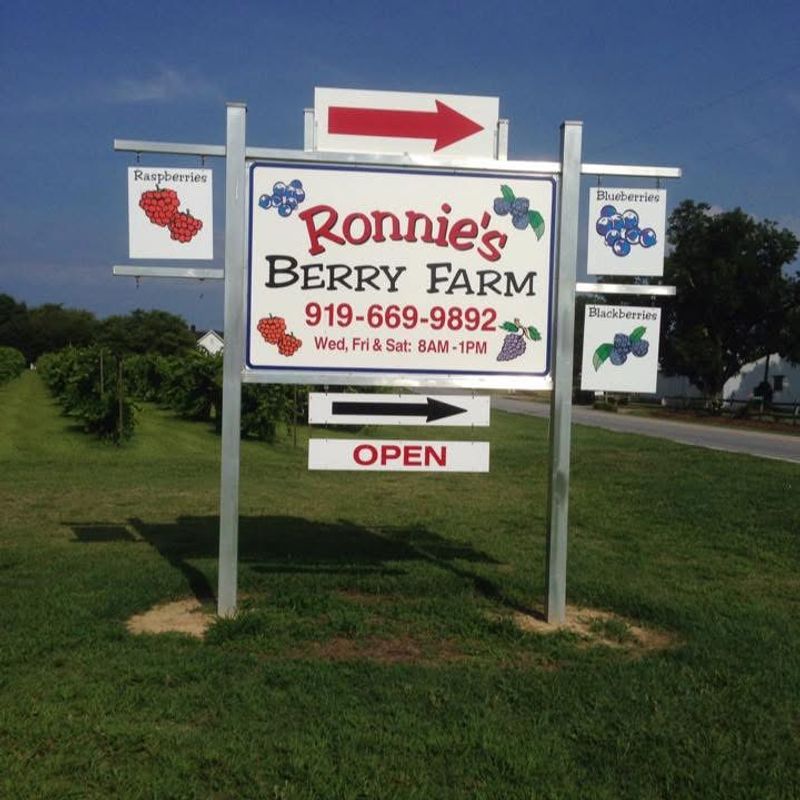 Ronnie's Berry Farm