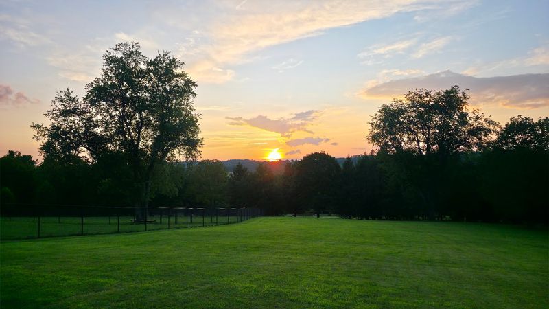 Westmoreland County Summer Concert Series &mdash; Cedar Creek Park, Belle Vernon