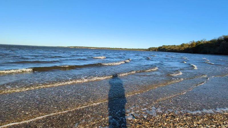 Chippokes State Park