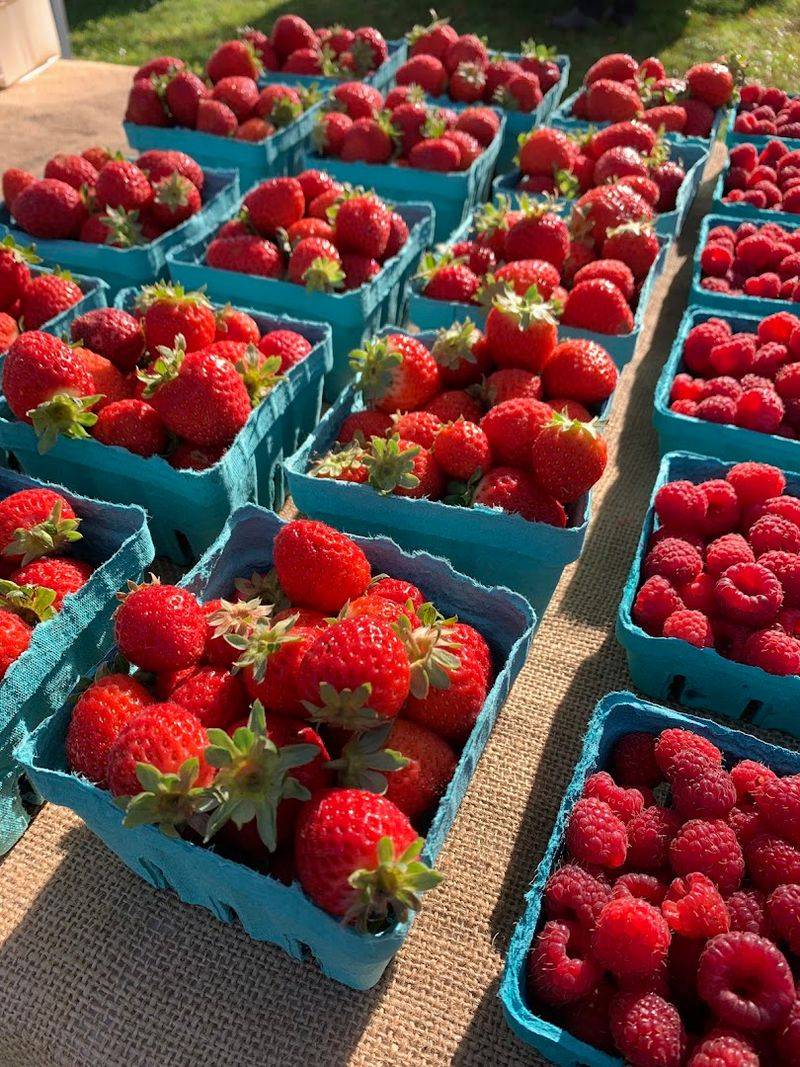 Ellington Farmers Market
