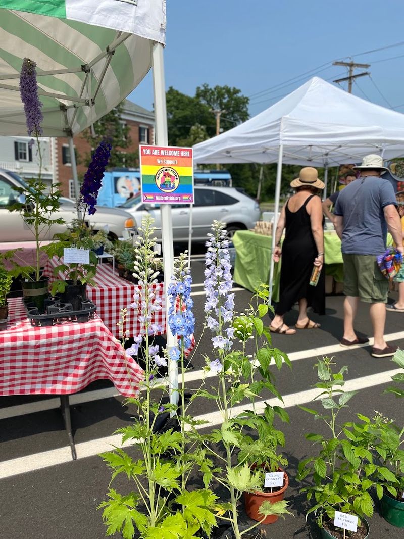 Downtown Milford Farmers' Market - Milford