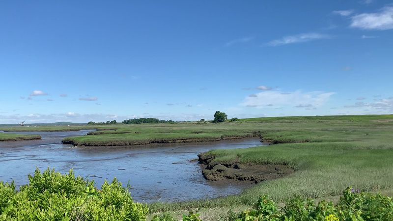 Great Marsh (Parker River National Wildlife Refuge)