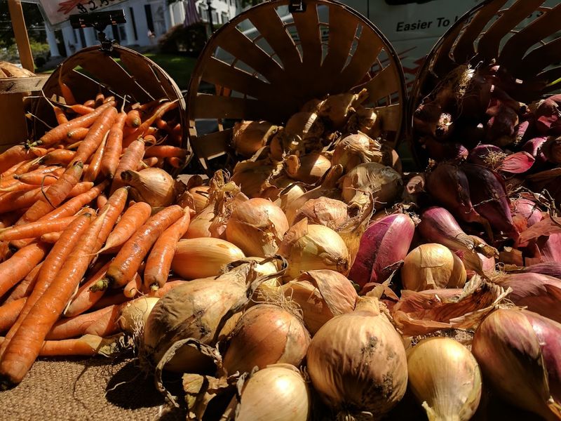 New Milford Farmers Market - New Milford