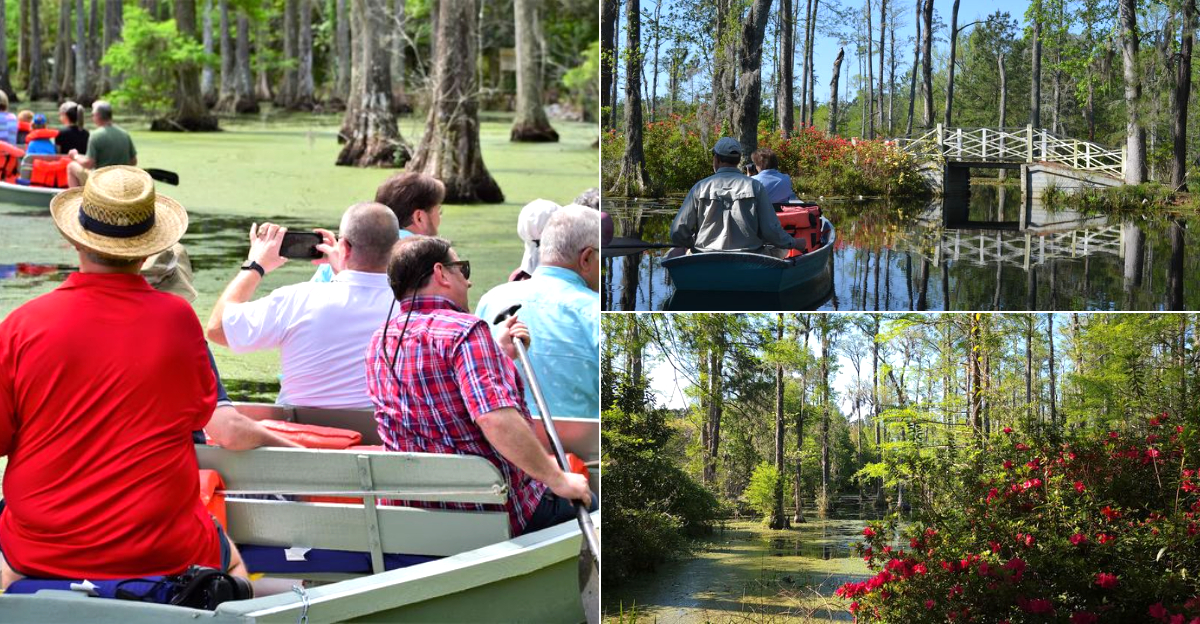 What It’s Really Like To Paddle A Boat Through This Famous South Carolina Hollywood Swamp