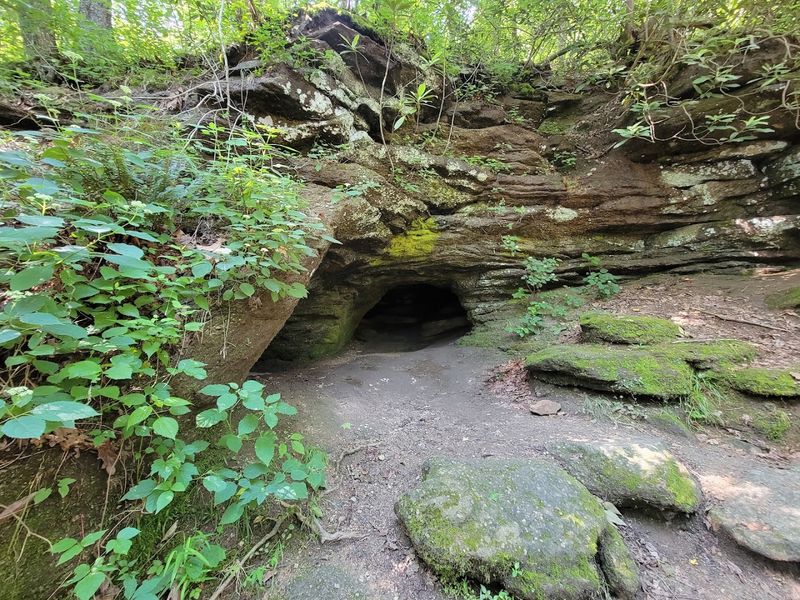 Visitor Information: What To Know Before You Go