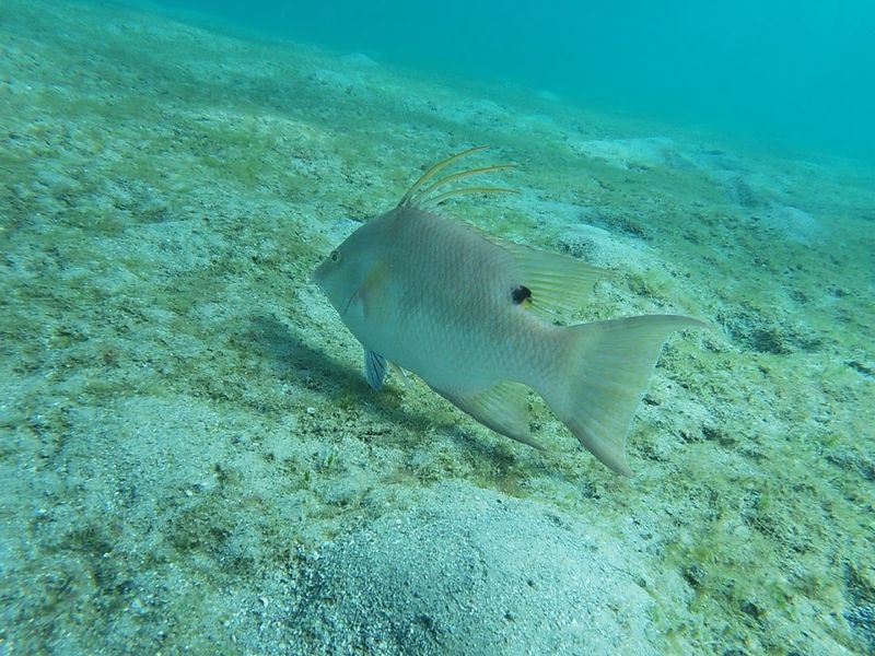 The Incredible Marine Life You Can Spot Along the Trail