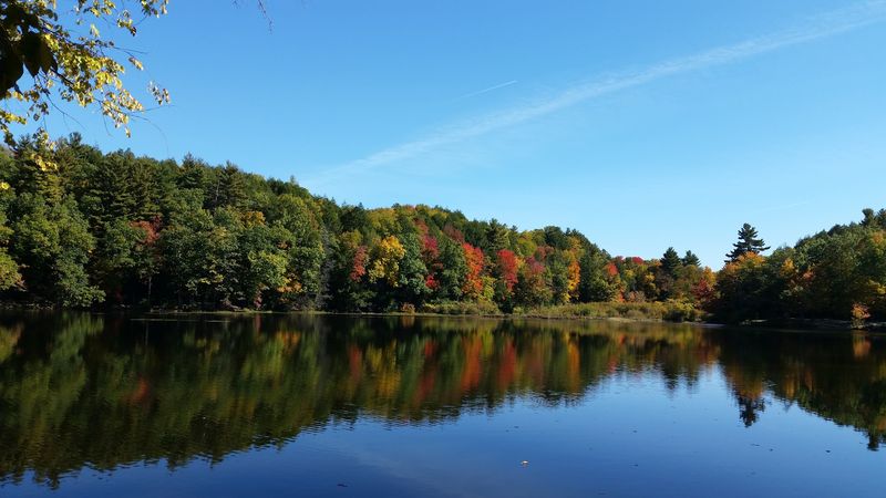 The Scenery Around The Water