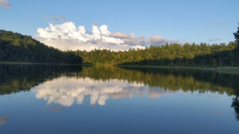 The Peaceful Setting Around The Shore