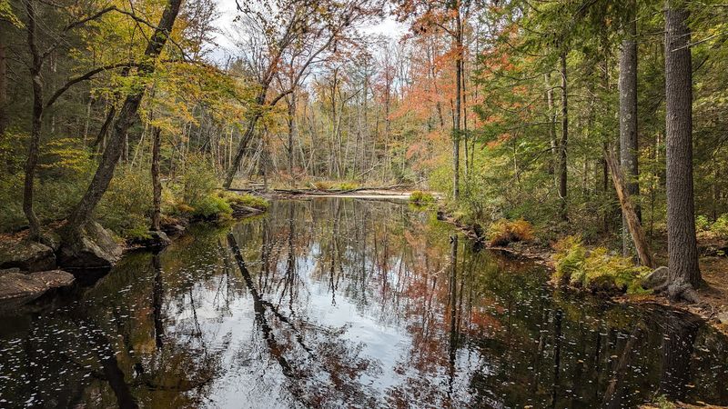 Safety And Trail Etiquette