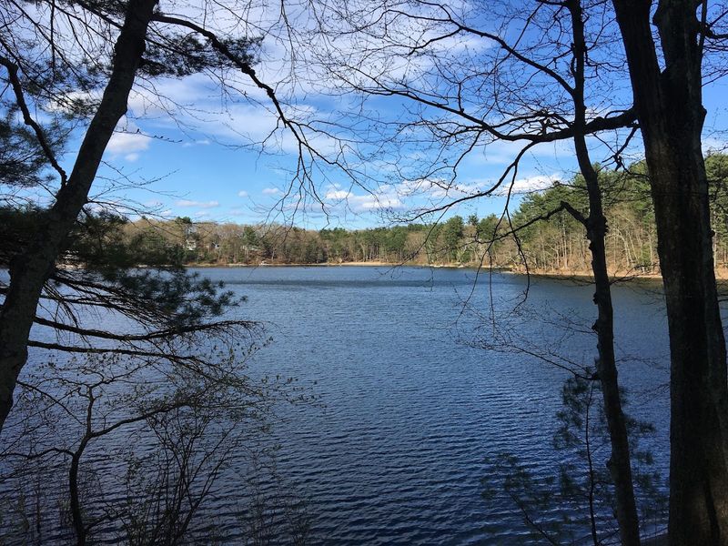 Why White Pond Stays Memorable