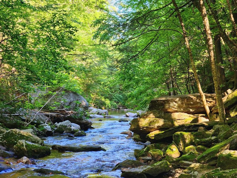 Safety, Respect, And Leave No Trace