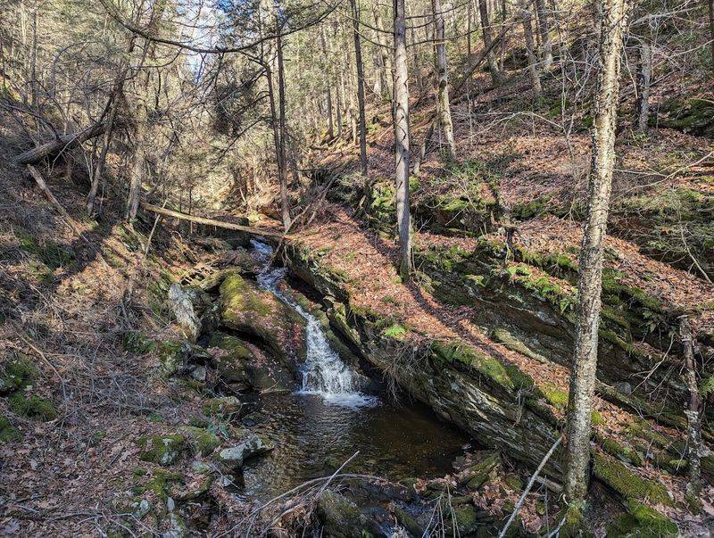 The Trail Starts Easy Then Gets Honest