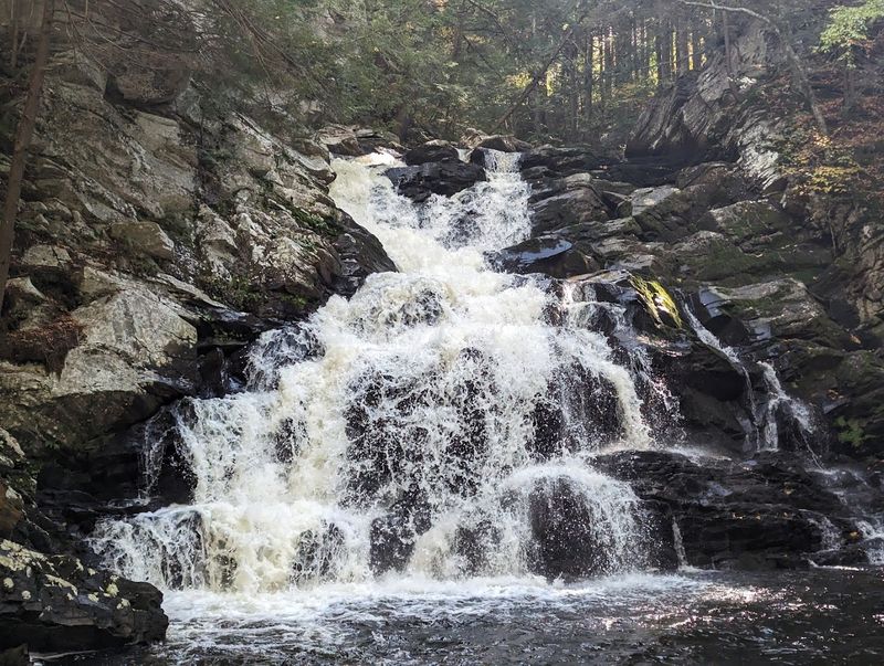 The Waterfall Reveal