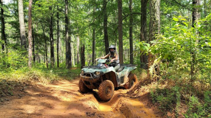 Where to Find 11 South Carolina Off-Road Trails That Keep Adventure Lovers Coming Back