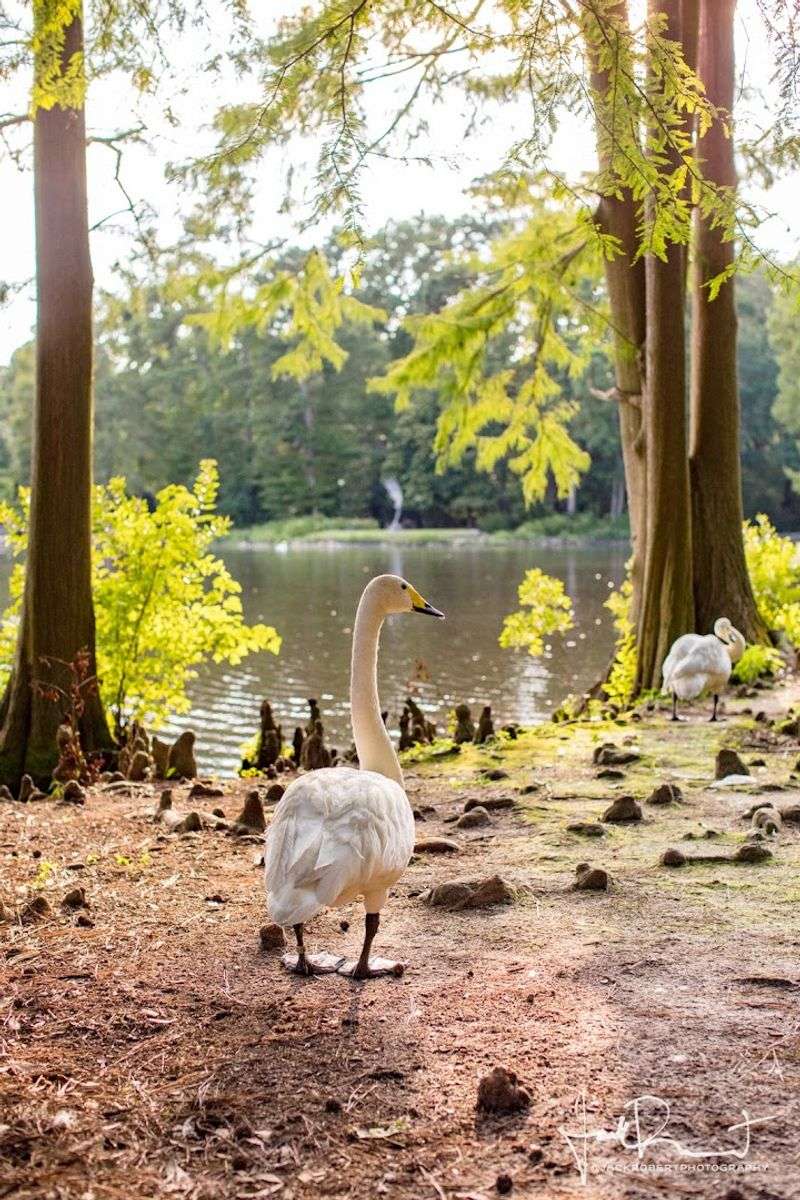 A Peaceful First Impression That Feels Instantly Restorative