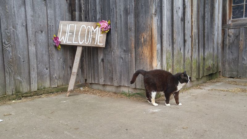 A Community Resource Beyond Sanctuary Grounds