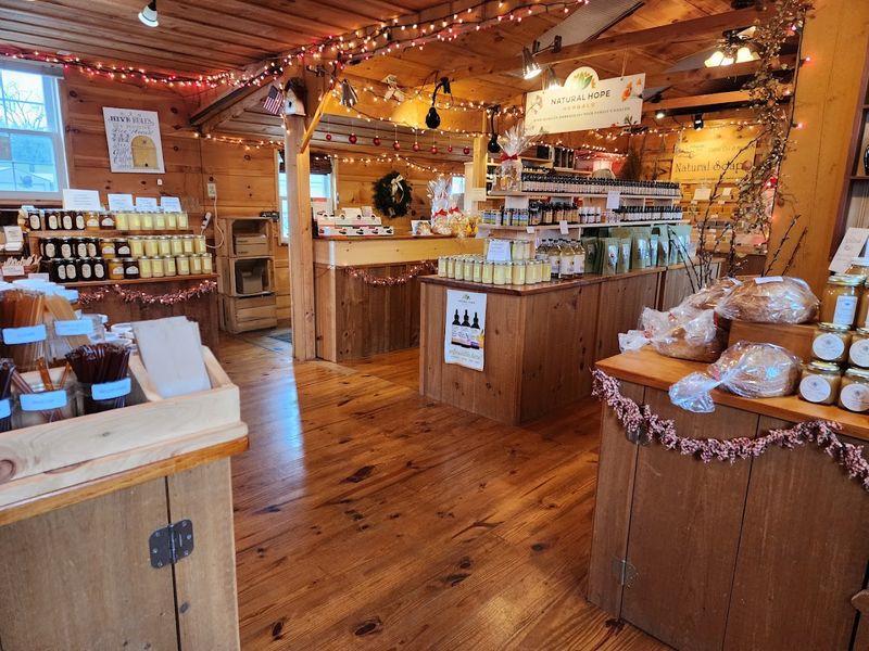 Visitor Information and Helpful Tips