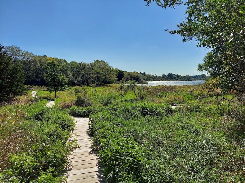 Trails That Keep The Experience Gentle