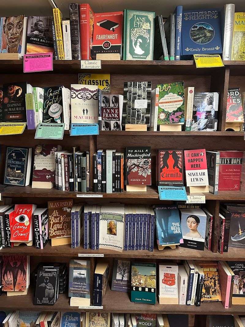 Shelves Full Of Surprises