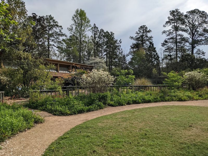 Scenic Paths That Reward A Slower Pace