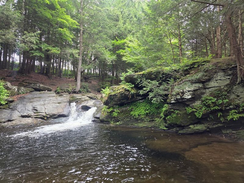 What You Will See At The Falls