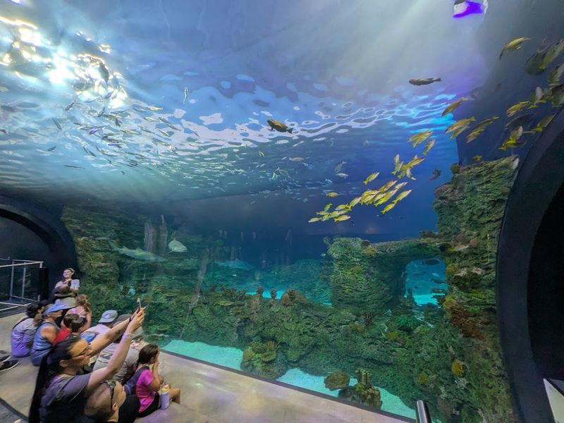 Sleeping Next to Penguins, Polar Bears, or Inside the Aquarium