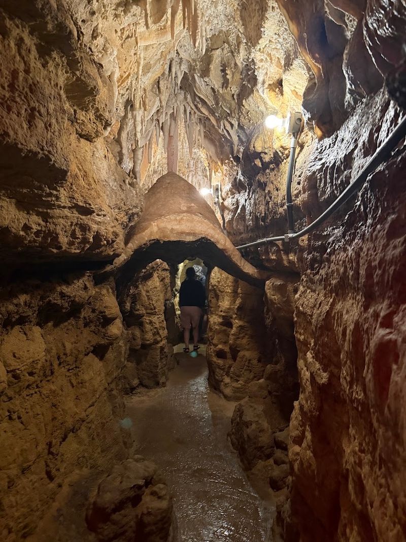 What to Expect on the Walk Underground