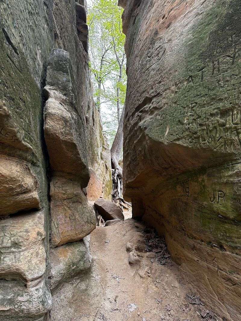 Wildcat Den State Park