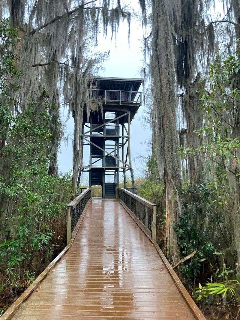 The Views From Owl's Roost Tower
