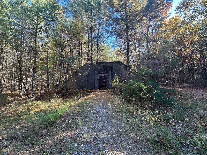Weathered Bunkers Tell Stories of World War II