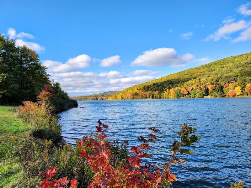 Every Season Gives Allegany State Park a Different Personality