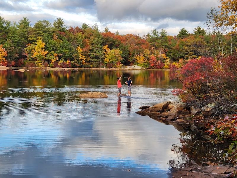 Fall Foliage Spectacles That Rival Tourist Destinations