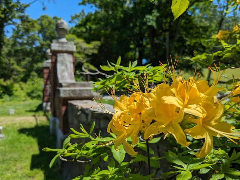 Seasonal Flower Displays