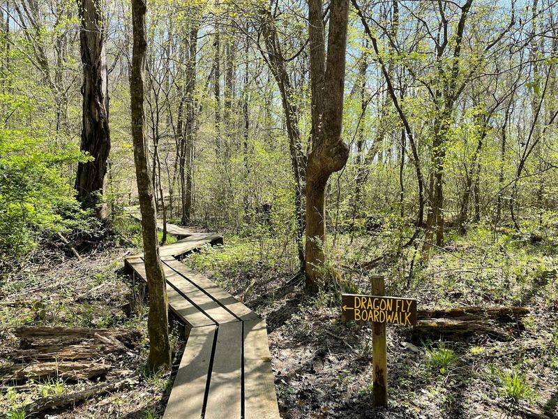More Than a Cave: Hiking, Camping, and Outdoor Recreation