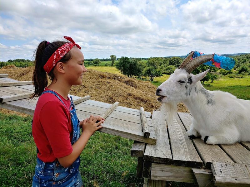 Heartland Farm Sanctuary - Waterloo, Black Hawk County, Iowa