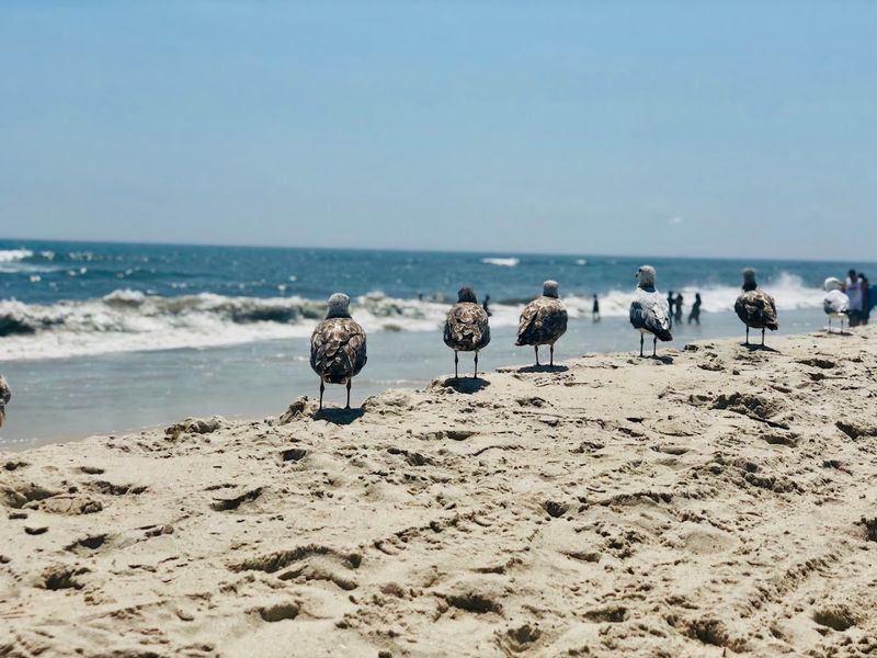 Jones Beach State Park (West End 2) - Wantagh, New York